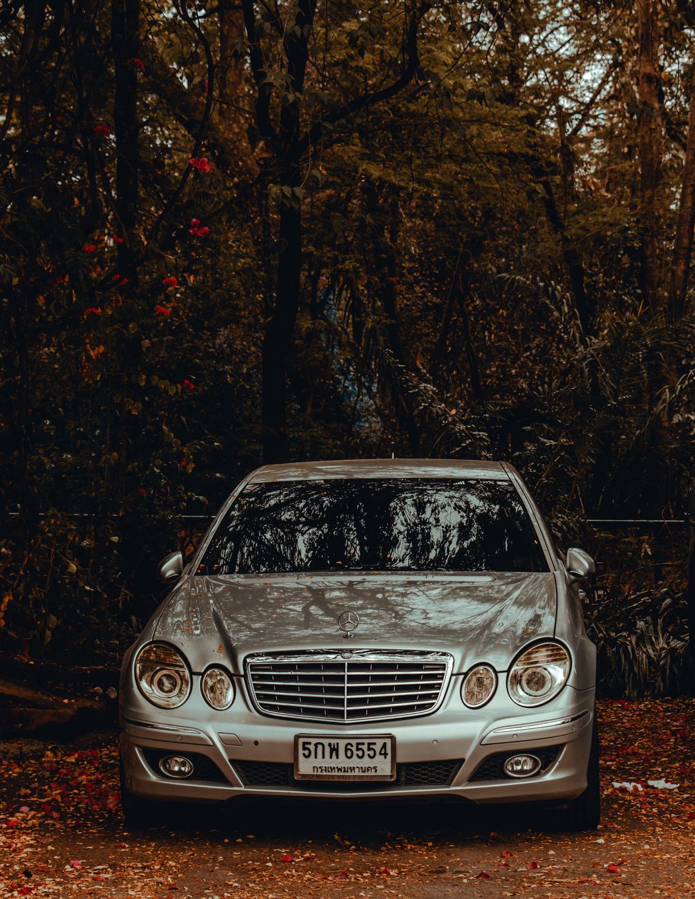 The Legend of the Mercedes-Benz E55 AMG: A Supercharged&nbsp;Farewell